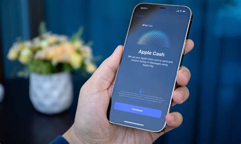 venmo cash users sue apple over|Venmo, Cash App Users Sue Apple Over Peer